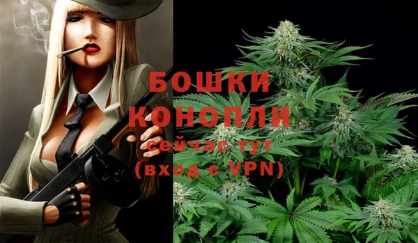 экстази Богданович