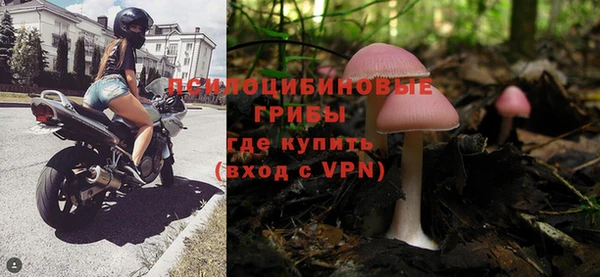 винт Белокуриха