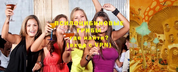 винт Белокуриха